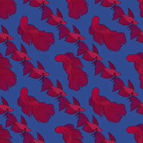 Large Tropical Fish in magenta and blue