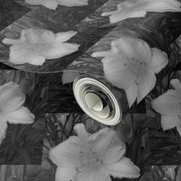 White Lily, Art Nouveau Style, Black, Gray