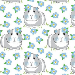 large guinea pigs and forget me nots on white