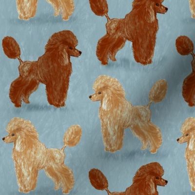 Custom Red and Apricot Poodles on Light Bluegray