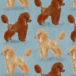 Custom Red and Apricot Poodles on Light Bluegray