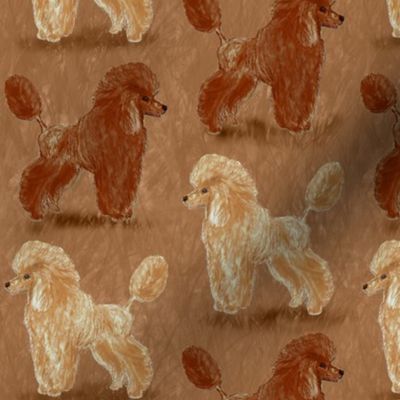 Red and Apricot Poodles on Chocolate
