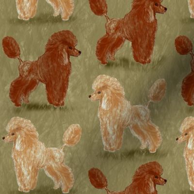 Red and Apricot Poodles on Sage Green