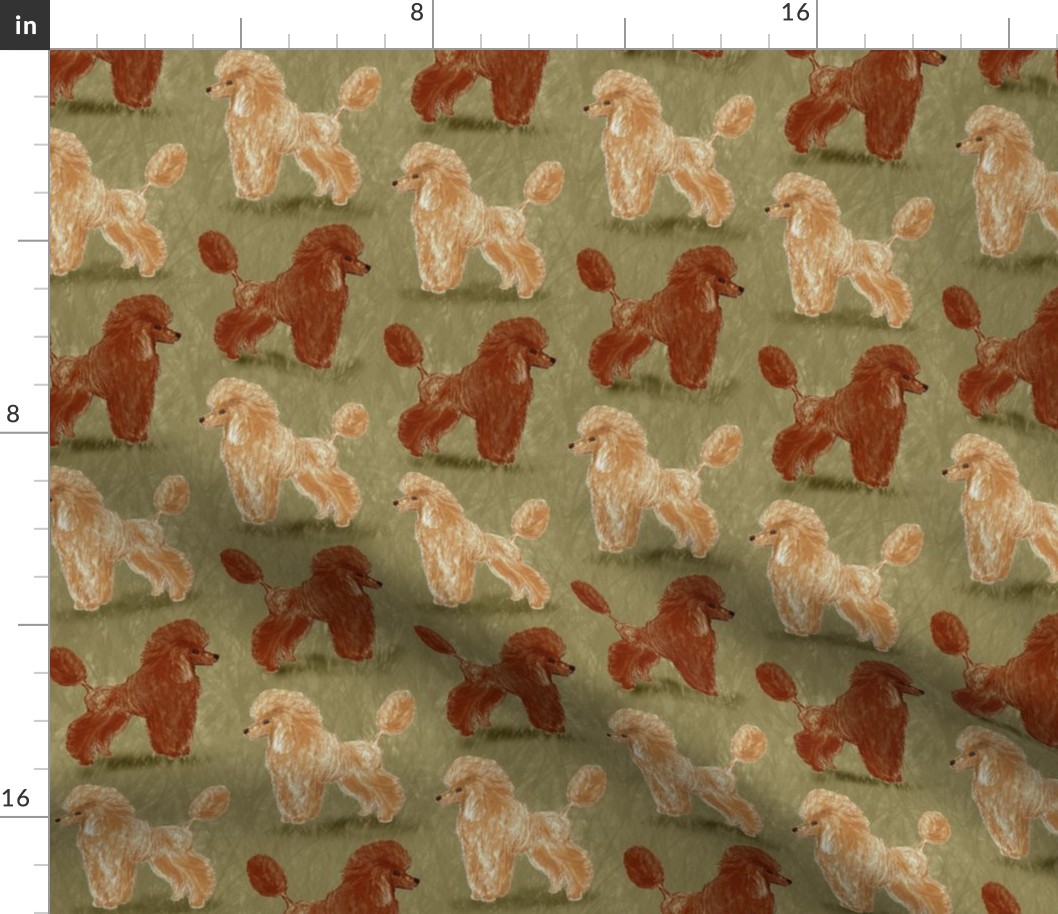 Red and Apricot Poodles on Sage Green
