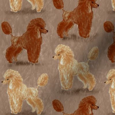 Red and Apricot Poodles on Reddish Beige