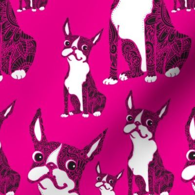 Boston Terriers Hot Pink