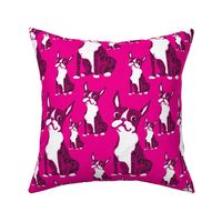 Boston Terriers Hot Pink