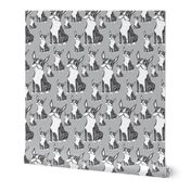 Boston Terriers Light Gray