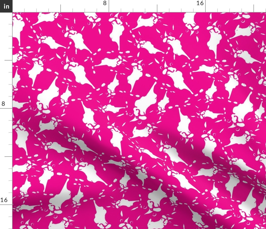 Boston Terrier Ditsy Hot Pink