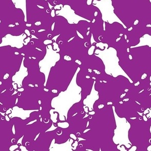 Boston Terrier Ditsy Purple-01