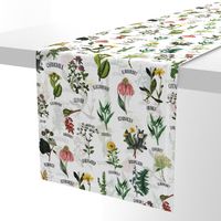 18" Plants and Herbs, pharmacists plants, Alphabet flowers wildflowers double layer on white