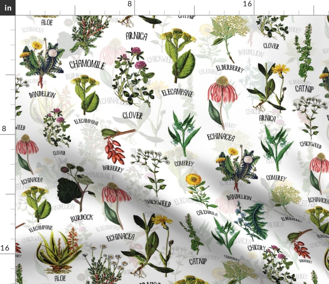 18" Plants and Herbs, pharmacists plants, Alphabet flowers wildflowers double layer on white