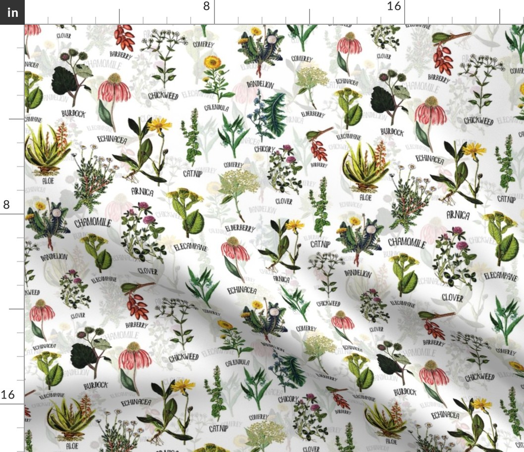12" Plants Wildflowers and Herbs, pharmacists plants, Alphabet flowers wildflowers double layer on white