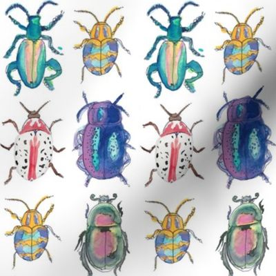 Watercolor Beetles