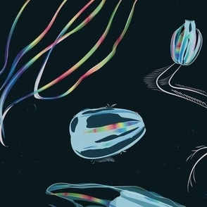 Dance of the Rainbow Comb Jellies