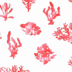 CORAL REEF_in pinks