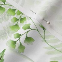 14" Woodland green forest botanical - fern leaves on white