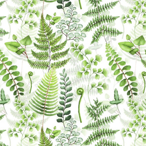 14" Woodland green forest botanical - fern leaves on white