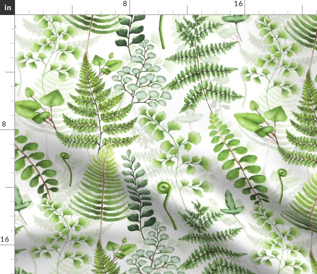 14" Woodland green forest botanical - fern leaves on white