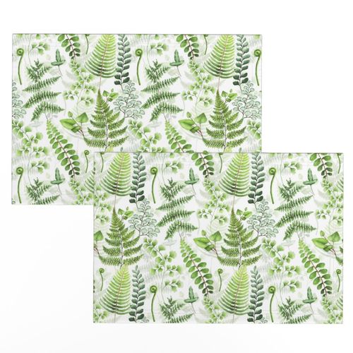 9" Woodland green forest botanical - fern leaves on white