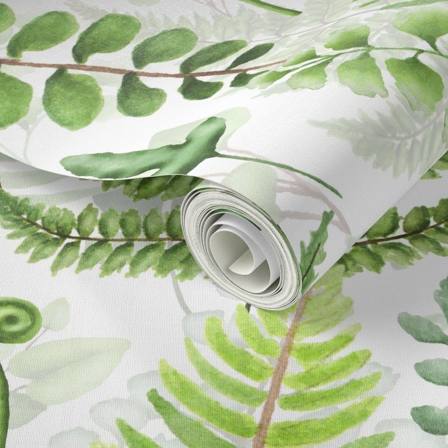 9" Woodland green forest botanical - fern leaves on white