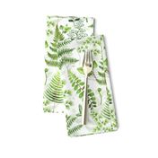 9" Woodland green forest botanical - fern leaves on white