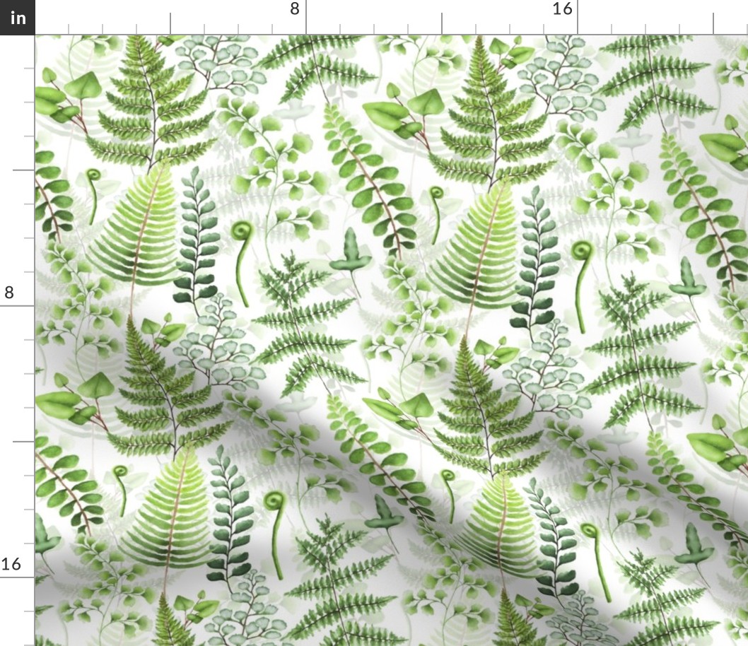 9" Woodland green forest botanical - fern leaves on white