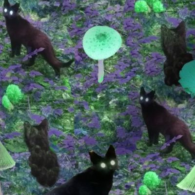 Bioluminescent funghi with cats