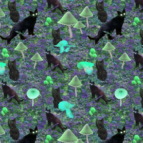 Bioluminescent funghi with cats