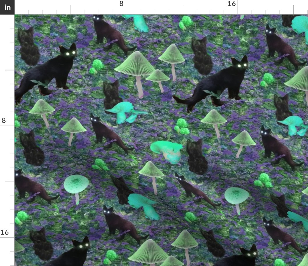 Bioluminescent funghi with cats