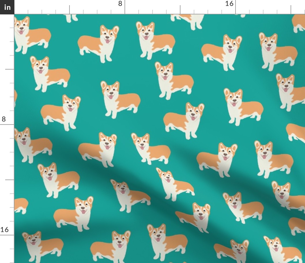 corgi on teal