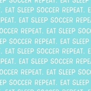 soccer fabric - teal