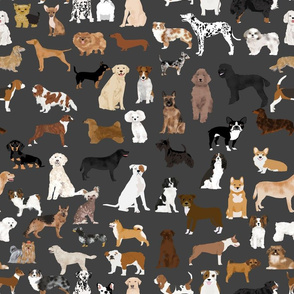 dogs -  dog fabric lots of breeds cute dogs best dog fabric best dogs cute dog breed design dog owners will love this cute dog fabric