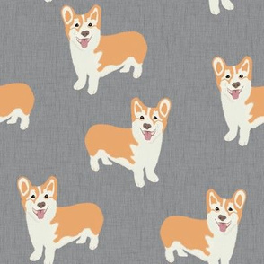 corgi on black linen