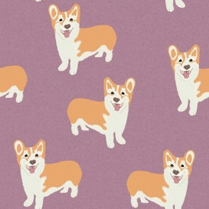 corgi on lavender linen