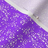 Scatter Purple and White