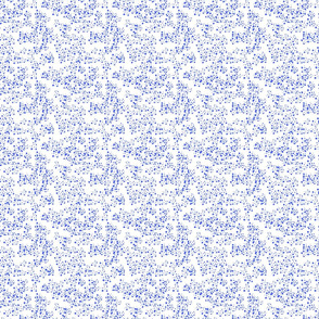 Scatter White and Blue