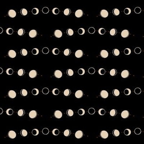 Phases of the Moon