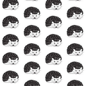 repeating black and white hedgehogs