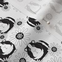 small guinea pigs and daisies black and white