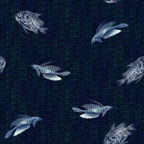 fish_navy_biolumine_ripple