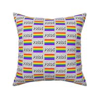 PRIDE flag - rainbow stripes - LGBT -  grey - LAD20