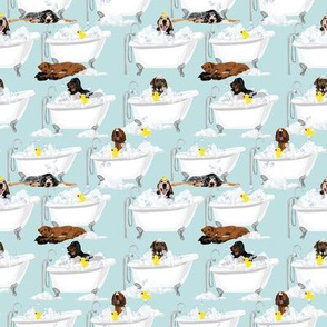 Coonhound Bathtime