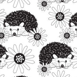 black and white hedgehogs and daisies