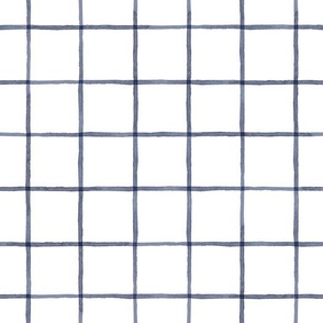 Blue Window Pane Watercolor Check