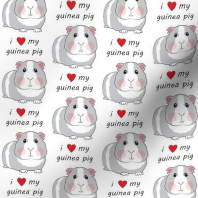 i love my guinea pig grey