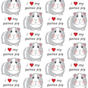 i love my guinea pig grey