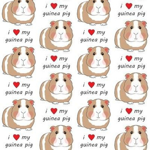 i love my guinea pig brown