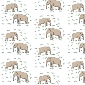 Elephants on White 