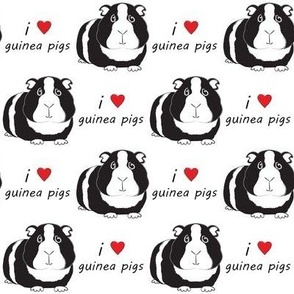 i love guinea pigs black and white